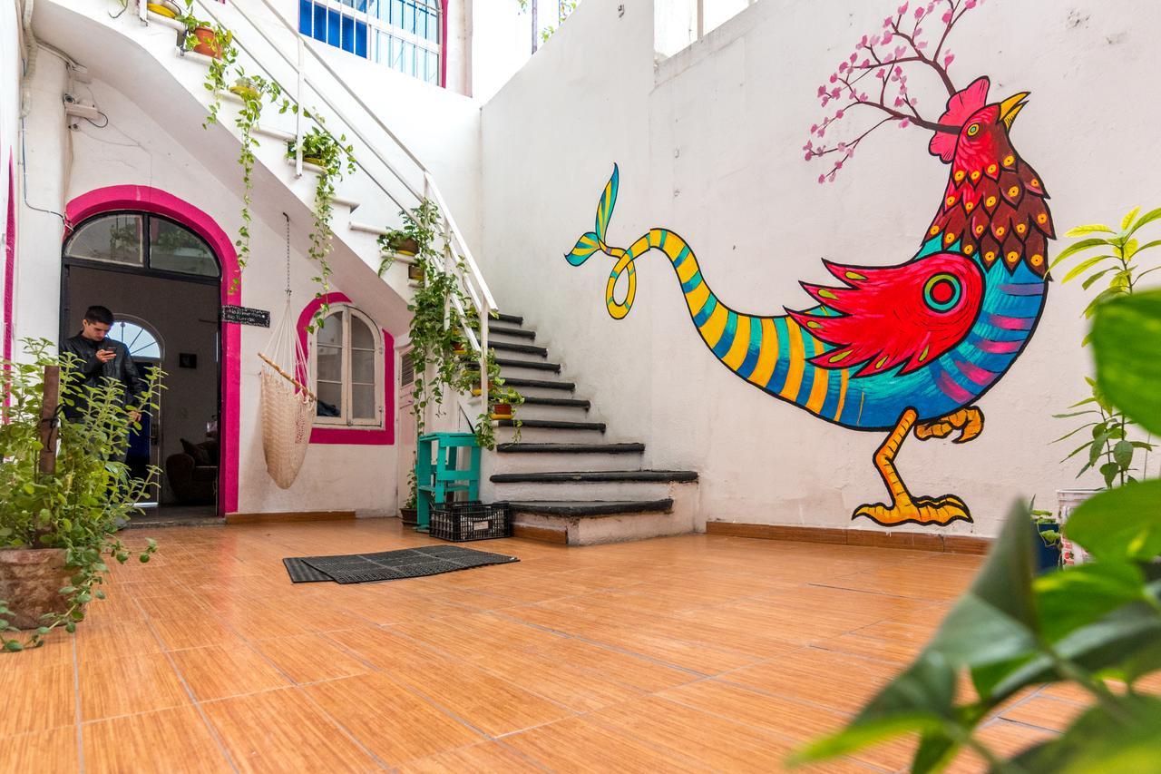 Taiyari Hostal Monterrey Eksteriør billede